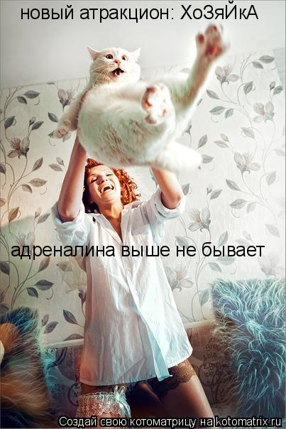Котоматрица: новый атракцион: ХоЗяЙкА адреналина выше не бывает