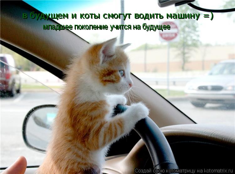 Котоматрица: в будущем и коты смогут водить машину =) младшее поколение учится на будущее