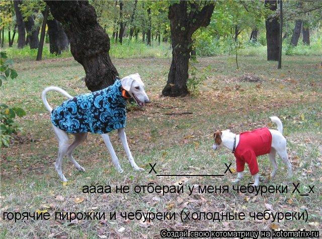 Котоматрица: горячие пирожки и чебуреки (холодные чебуреки) аааа не отберай у меня чебуреки Х_х Х_________Х