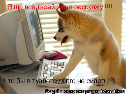 Котоматрица: Я ща всё твоей жене расскажу !!!! Что бы в туалете долго не сидел!!!:)