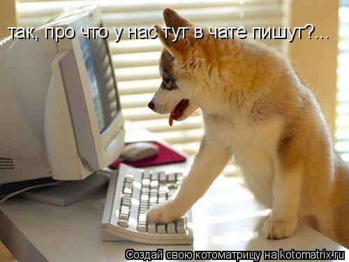 Котоматрица: так, про что у нас тут в чате пишут?...