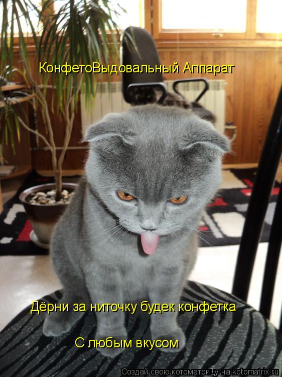 Котоматрица: КонфетоВыдовальный Аппарат Дёрни за ниточку будек конфетка С любым вкусом