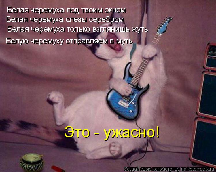 Котоматрица: Белая черемуха под твоим окном Белая черемуха слезы серебром Белая черемуха только взглянишь жуть Белую черемуху отправляем в муть Это - у