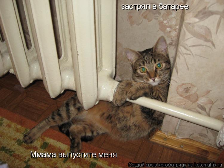 Котоматрица: застрял в батарее Ммама выпустите меня