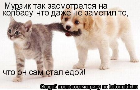 Мурзик так засмотрелся на колбасу, что даже не заметил то, что он сам стал едой!... Котоматрица: Мурзик так засмотрелся на колбасу, что даже не заметил то, что он сам стал едой!