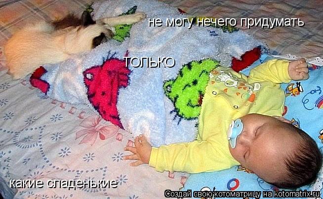 Котоматрица: не могу нечего придумать  ТОЛЬКО какие сладенькие