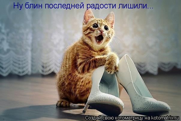 Котоматрица: Ну блин последней радости лишили...