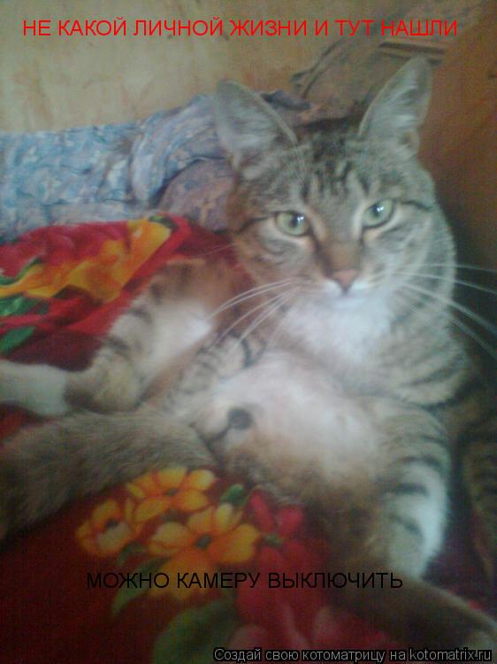 Котоматрица: НЕ КАКОЙ ЛИЧНОЙ ЖИЗНИ И ТУТ НАШЛИ МОЖНО КАМЕРУ ВЫКЛЮЧИТЬ