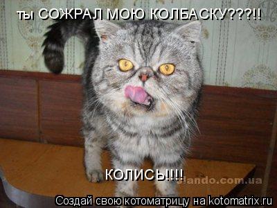 Котоматрица: ты СОЖРАЛ МОЮ КОЛБАСКУ???!! КОЛИСЬ!!!!