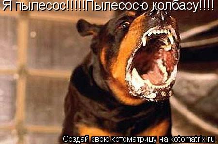 Котоматрица: Я пылесос!!!!!Пылесосю колбасу!!!!