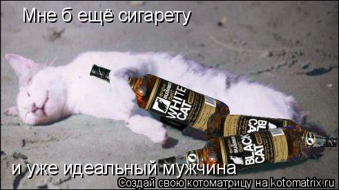 Котоматрица: Мне б ещё сигарету  и уже идеальный мужчина