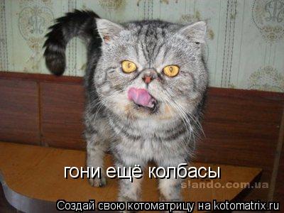 Котоматрица: гони ещё колбасы