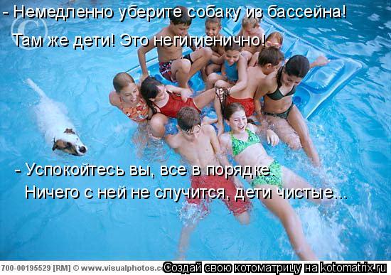 Котоматрица: - Немедленно уберите собаку из бассейна! Там же дети! Это негигиенично! - Успокойтесь вы, все в порядке. Ничего с ней не случится, дети чистые..