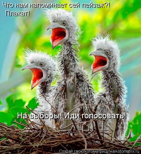 Котоматрица: Что нам напоминает сей пейзаж?!  Плакат!   На выборы! Иди голосовать!