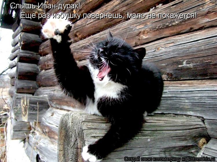 Котоматрица: Слышь Иван-дурак! Еще раз избушку повернешь, мало не покажется!