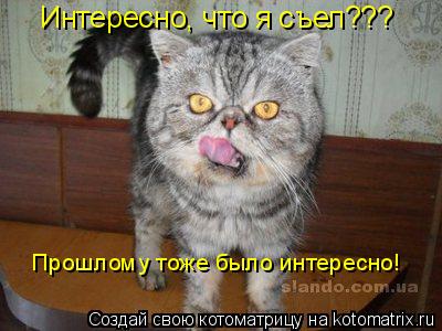 Котоматрица: Интересно, что я съел??? Прошлому тоже было интересно!