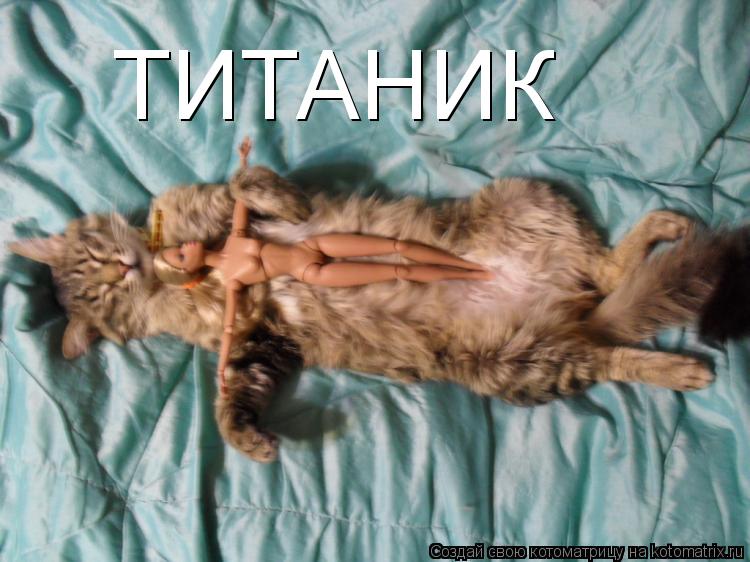 Котоматрица: ТИТАНИК