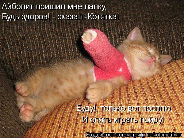 Котоматрица: Айболит пришил мне лапку, Будь здоров! - сказал -Котятка! Буду!, только вот посплю, И опять играть пойду!