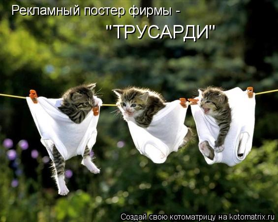 Рекламный постер фирмы - "ТРУСАРДИ"... Котоматрица: Рекламный постер фирмы - "ТРУСАРДИ"