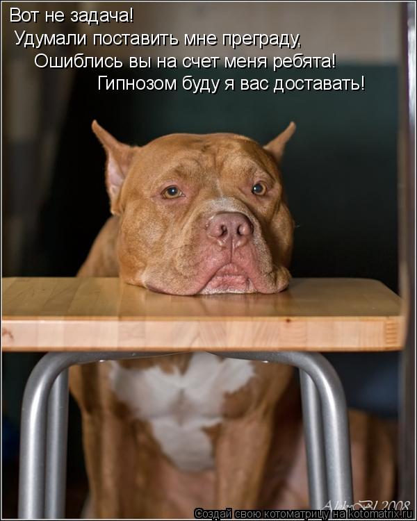 Вот не задача! Удумали поставить мне преграду, Ошиблись вы на счет меня ребята! Гипнозом буду я вас... Котоматрица: Вот не задача! Удумали поставить мне преграду, Ошиблись вы на счет меня ребята! Гипнозом буду я вас доставать!