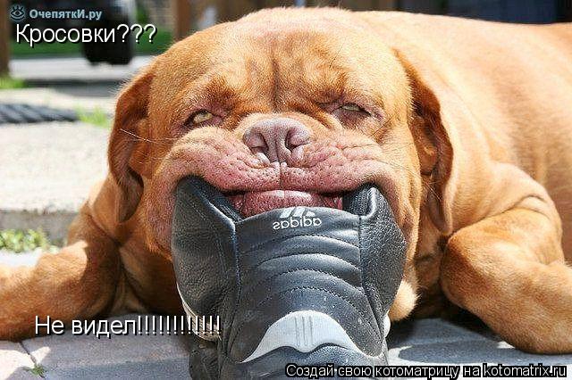 Котоматрица: Кросовки??? Не видел!!!!!!!!!!!!