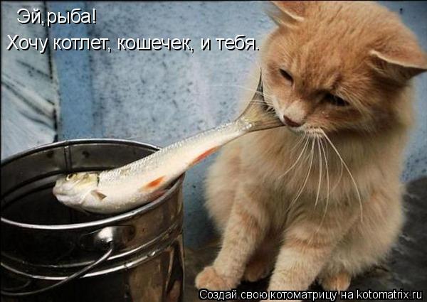 Эй,рыба! Хочу котлет, кошечек, и тебя.... Котоматрица: Эй,рыба! Хочу котлет, кошечек, и тебя.