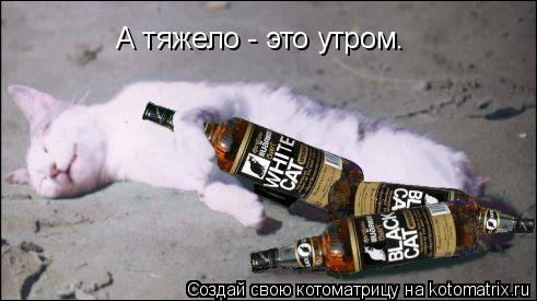 Котоматрица: А тяжело - это утром.