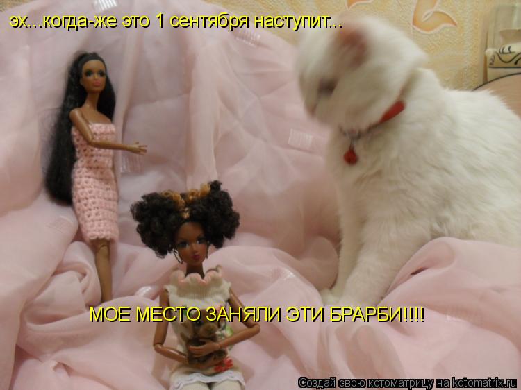 Котоматрица: эх...когда-же это 1 сентября наступит... МОЕ МЕСТО ЗАНЯЛИ ЭТИ БРАРБИ!!!!