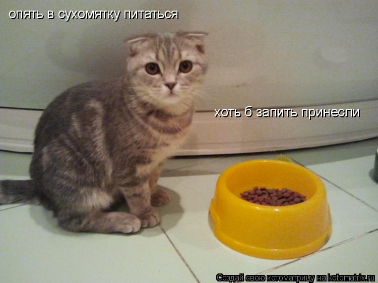 Котоматрица: опять в сухомятку питаться хоть б запить принесли
