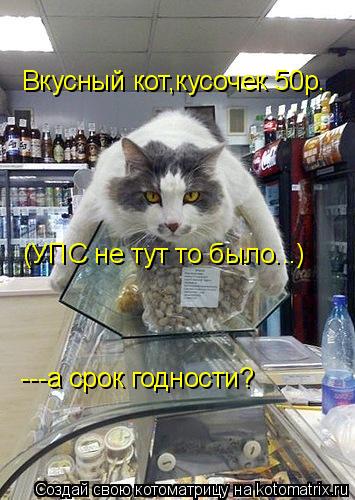 Котоматрица: Вкусный кот,кусочек 50р.  ---а срок годности? (УПС не тут то было...)