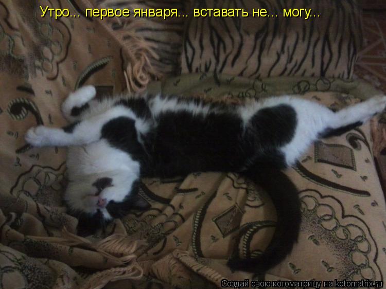 Котоматрица: Утро... первое января... вставать не... могу...