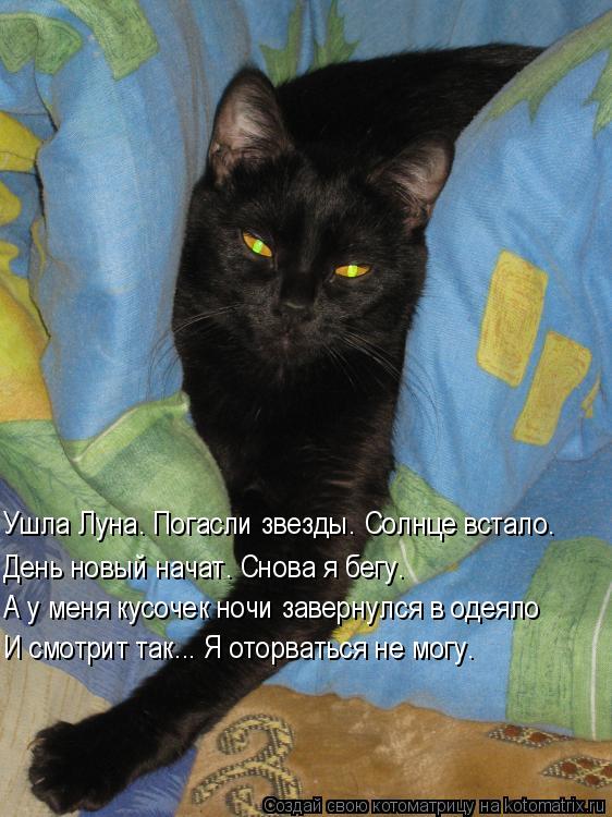 Котоматрица: Ушла Луна. Погасли звезды. Солнце встало. День новый начат. Снова я бегу. А у меня кусочек ночи завернулся в одеяло И смотрит так... Я оторвать