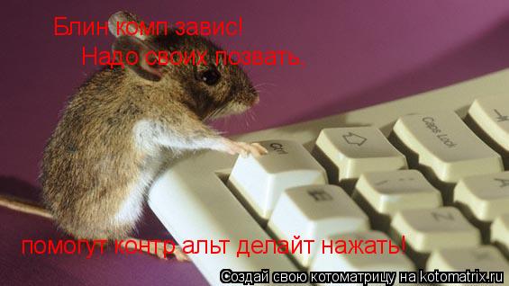 Котоматрица: Блин комп завис! Надо своих позвать, помогут контр альт делайт нажать!
