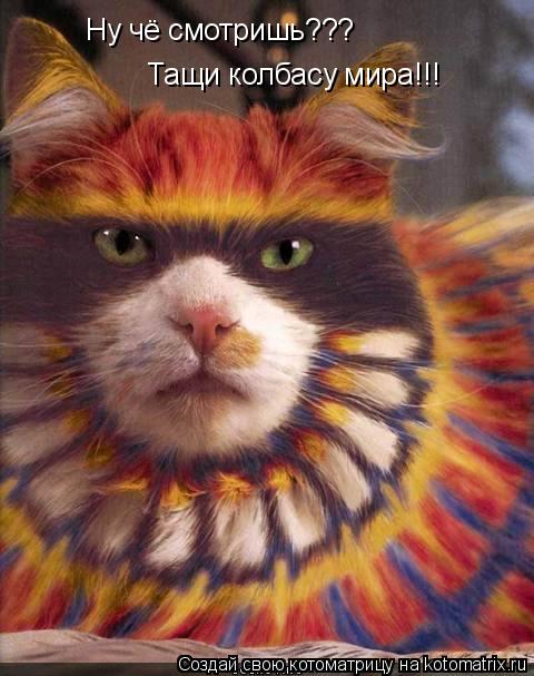Ну чё смотришь??? Тащи колбасу мира!!!... Котоматрица: Ну чё смотришь??? Тащи колбасу мира!!!