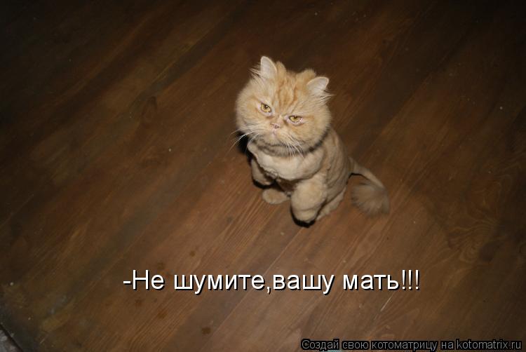 Котоматрица: -Не шумите,вашу мать!!!
