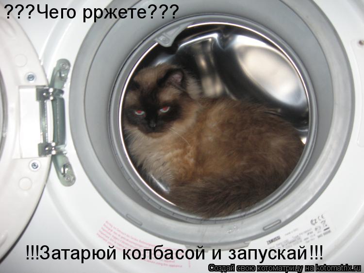 Котоматрица: ???Чего рржете??? !!!Затарюй колбасой и запускай!!!