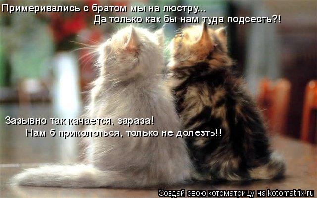 Котоматрица: Примеривались с братом мы на люстру... Зазывно так качается, зараза! Да только как бы нам туда подсесть?! Нам б приколоться, только не долезть!