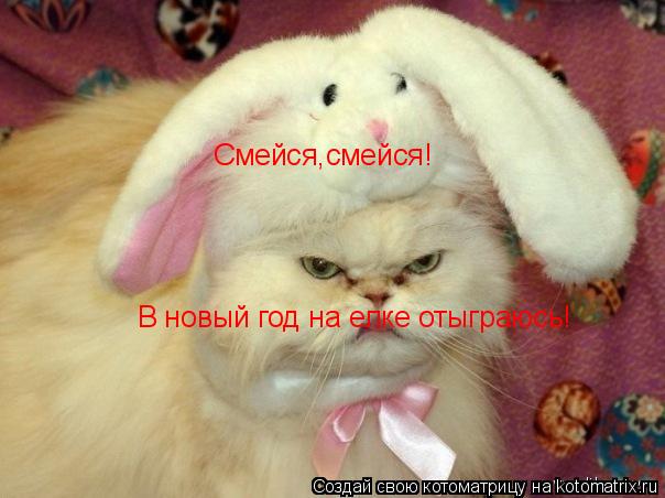 Котоматрица: Смейся,смейся! В новый год на елке отыграюсь!