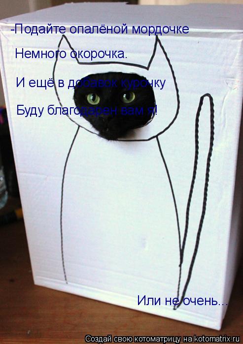 Котоматрица: -Подайте опалёной мордочке Немного окорочка. И ещё в добавок курочку Буду благодарен вам я! Или не очень...