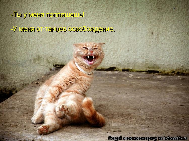 Котоматрица: -Ты у меня попляшешь! -У меня от танцев освобождение.