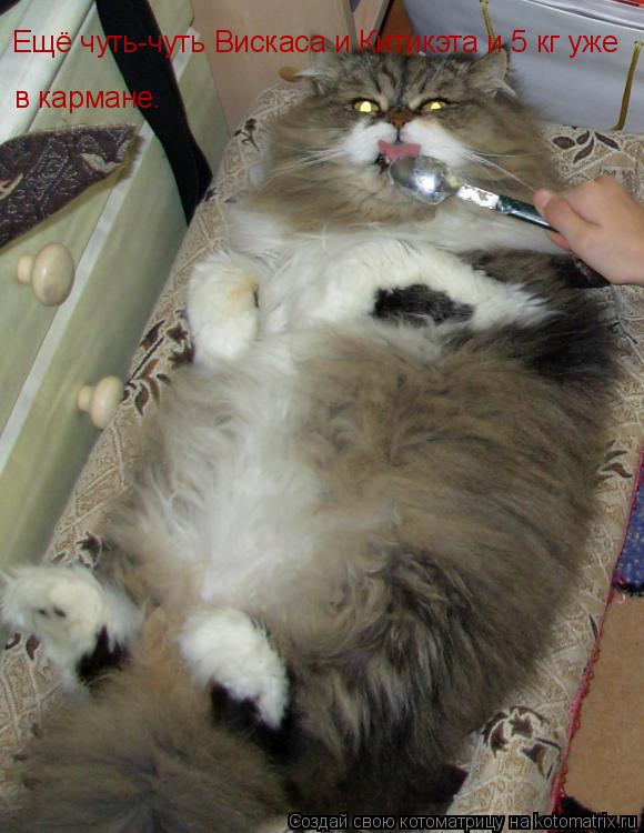 Котоматрица: Ещё чуть-чуть Вискаса и Китикэта и 5 кг уже в кармане.