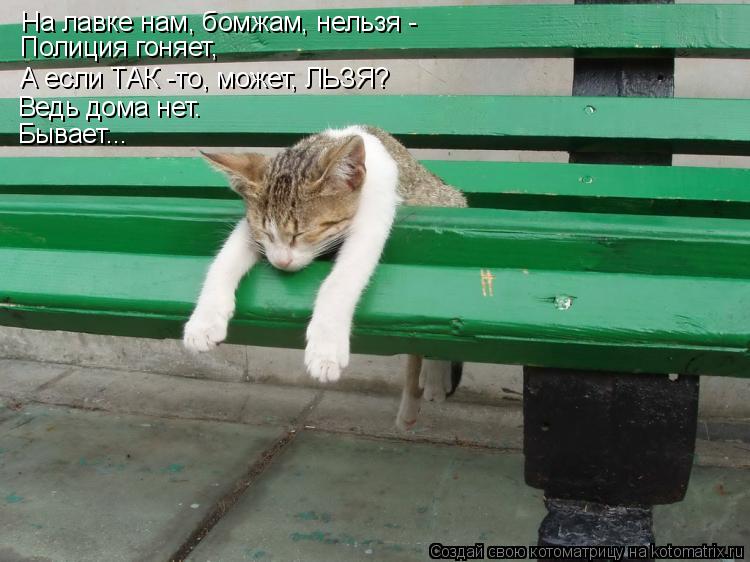 Котоматрица: На лавке нам, бомжам, нельзя - Полиция гоняет, А если ТАК -то, может, ЛЬЗЯ? Ведь дома нет. Бывает...