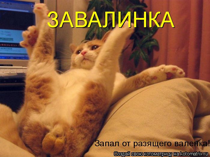 ЗАВАЛИНКА Запал от разящего валенка!... Котоматрица: ЗАВАЛИНКА Запал от разящего валенка!