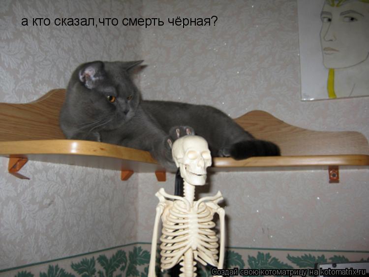 Котоматрица: а кто сказал,что смерть чёрная?