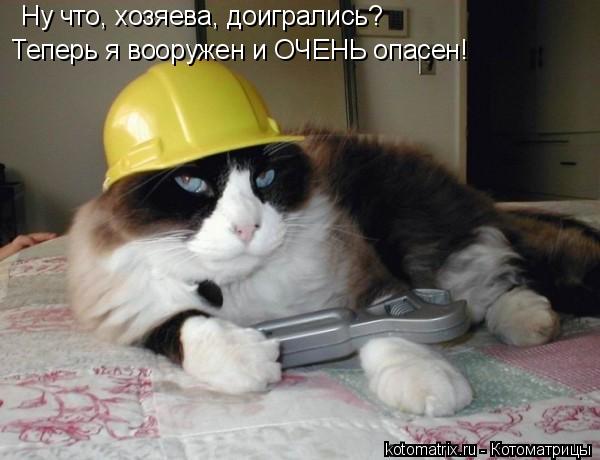 Котоматрица: Ну что, хозяева, доигрались? Теперь я вооружен и ОЧЕНЬ опасен!
