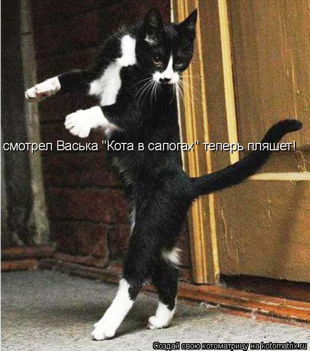 Котоматрица: смотрел Васька "Кота в сапогах" теперь пляшет!