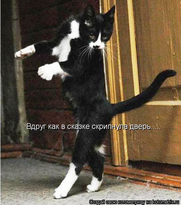 Котоматрица: Вдруг как в сказке скрипнула дверь.....
