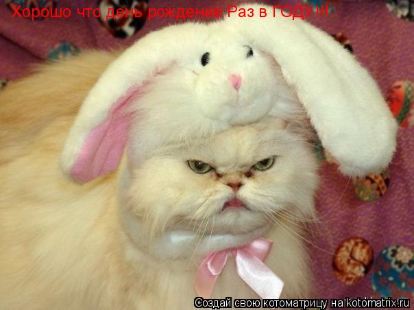 Котоматрица: Хорошо что день рождение Раз в ГОДУ!!!