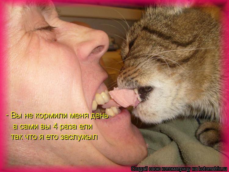 Котоматрица: Вы не кормили меня день а сами вы 4 раза ели так что я ето заслужыл -
