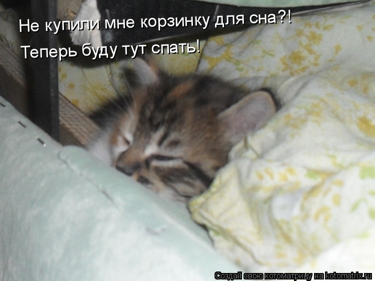 Котоматрица: Не купили мне корзинку для сна?! Теперь буду тут спать!
